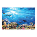 Reef Backdrop Q345