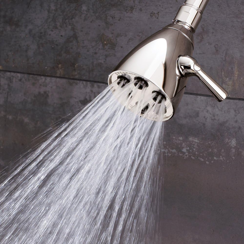 Polished Nickel Adjustable Shower Head I876044