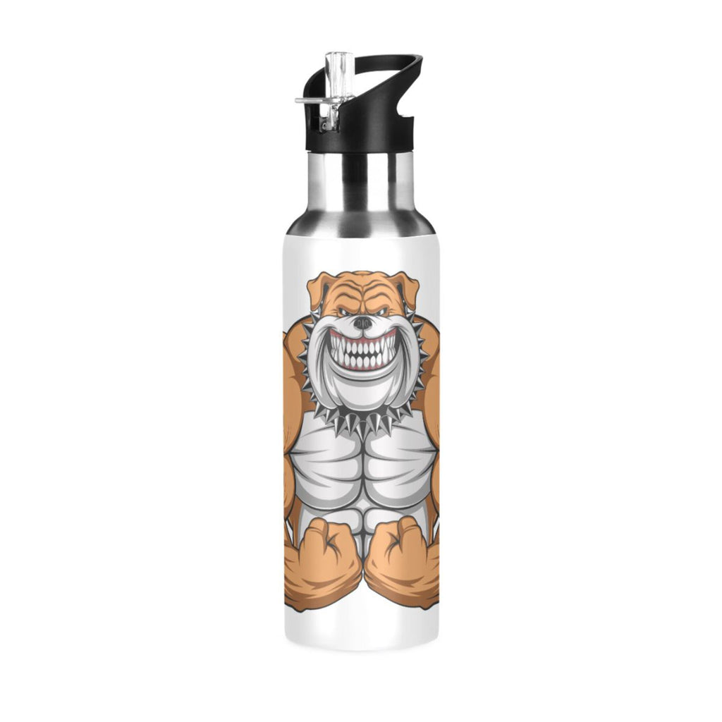 Stainless Steel Insulated Water Bottle with Straw Lid A30239