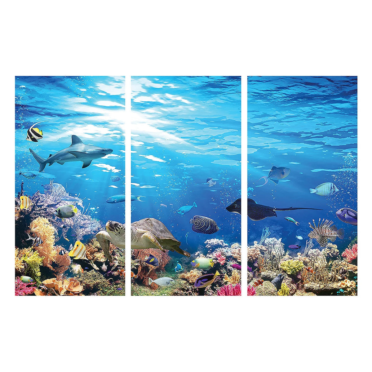 Reef Backdrop Q345