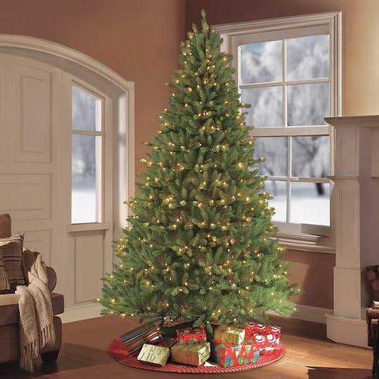 6.5& Pre-Lit Franklin Fir Tree M68413