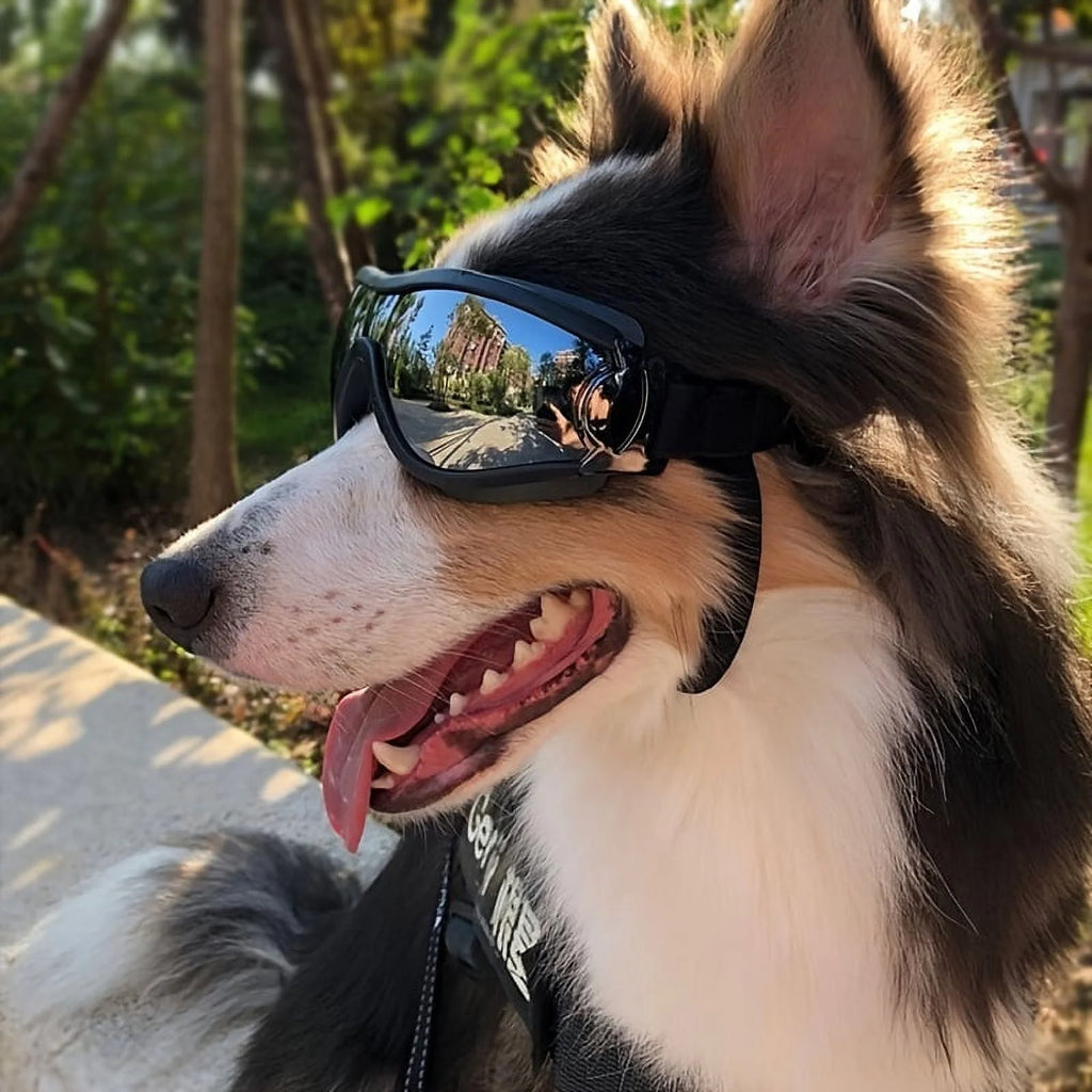Adjustable Waterproof Pet Ski Goggles B726954
