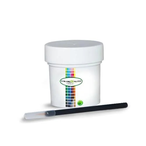 Single Stage Automotive Paint 1 Oz Bottle L657