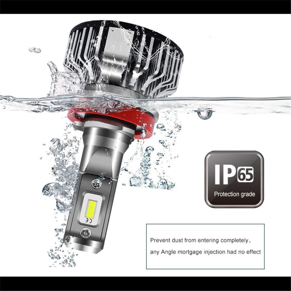 H11 and 9005 LED Bulbs Combo, 6000K Xenon White, Pack of 2 N711427