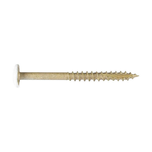 #10 x 3x22 Exterior White Head Cabinet Screws Star Drive S2315