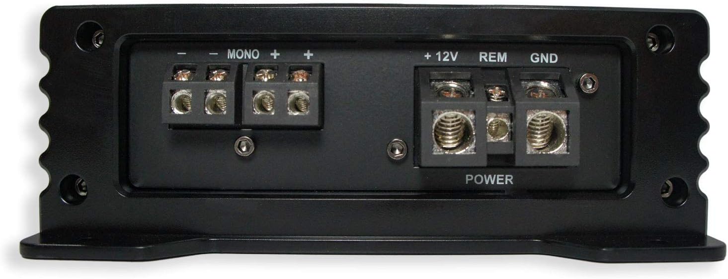 1600W Mono Amp Dual 10 Sub Box Q89115