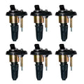 Set of 6 Ignition Coils J31815