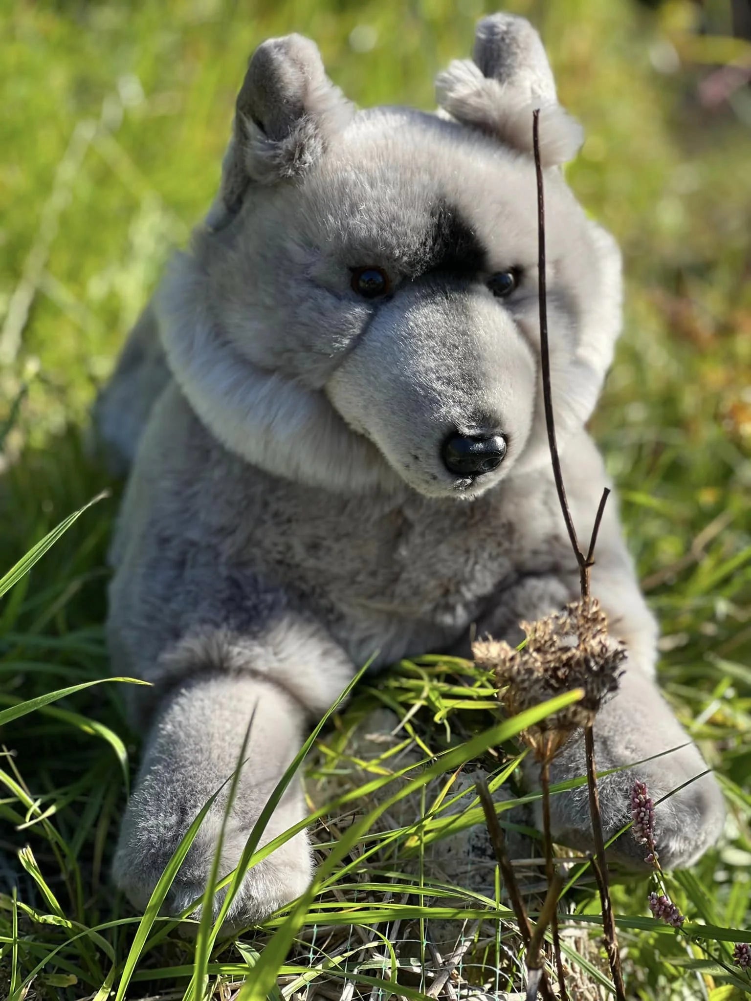 Grey Wolf Plush Stuffed Animal Y49625