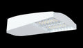 Type V 65W 5000K LED 480V Dim White K984245