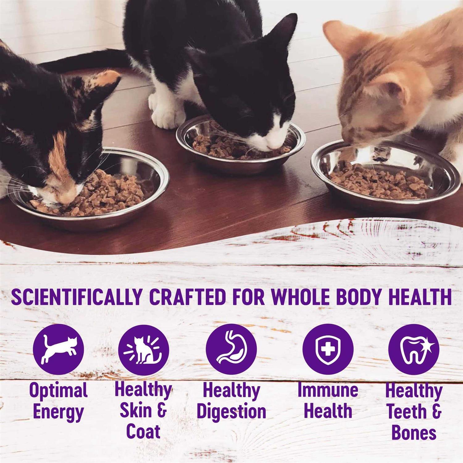 Wet Adult Cat Food Variety Pack M411488