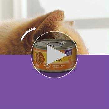 Wet Adult Cat Food Variety Pack M411488