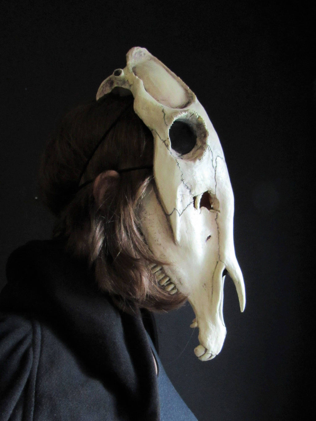 Horse Skull Mask Animal Cosplay Accessories P8981