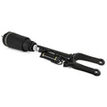 Air Suspension Strut N17403