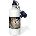 21 oz Sports Water Bottle R4297