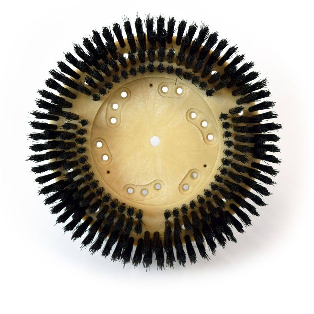Carpet Shampoo Polypropylene Brush U665
