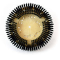 Carpet Shampoo Polypropylene Brush U665