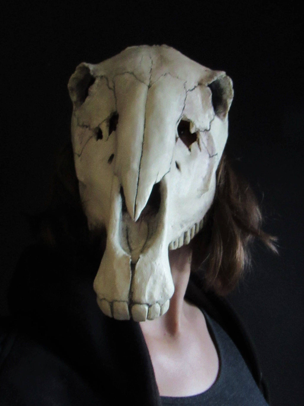 Horse Skull Mask Animal Cosplay Accessories P8981