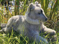 Grey Wolf Plush Stuffed Animal Y49625