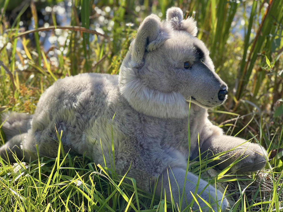 Grey Wolf Plush Stuffed Animal Y49625