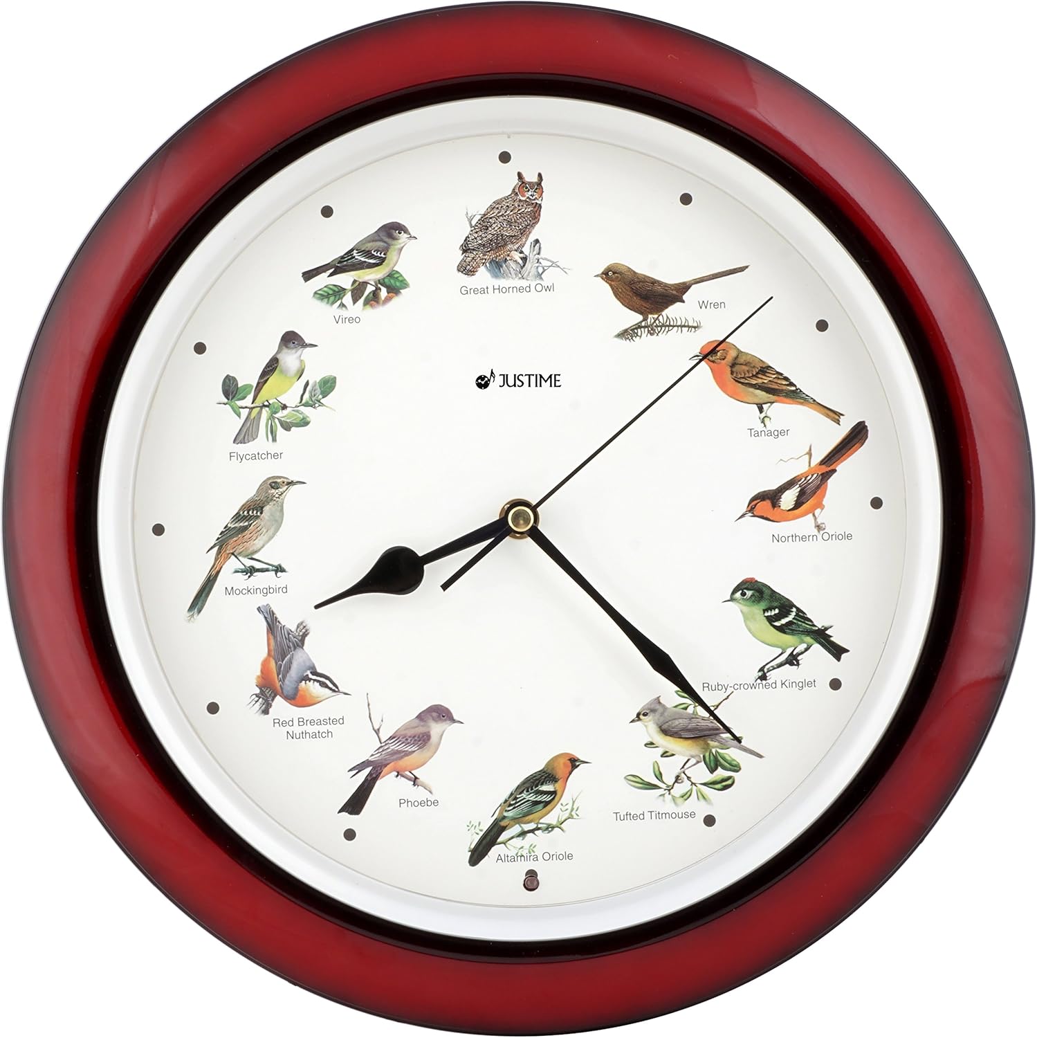 Multicolor Wall Clock D92251
