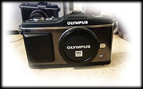 Black Digital Camera Body T308