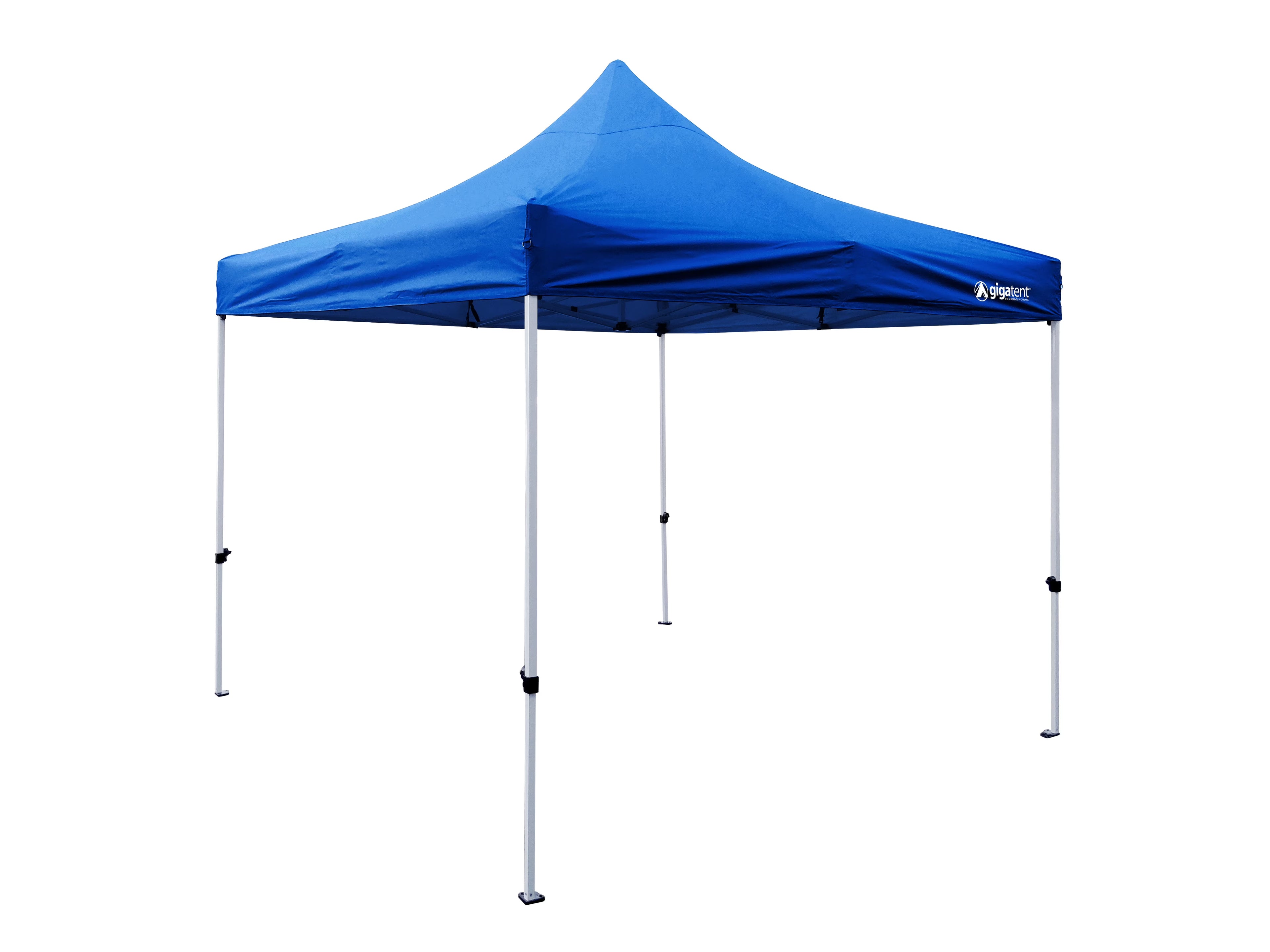 10' x 10' Canopy G9009