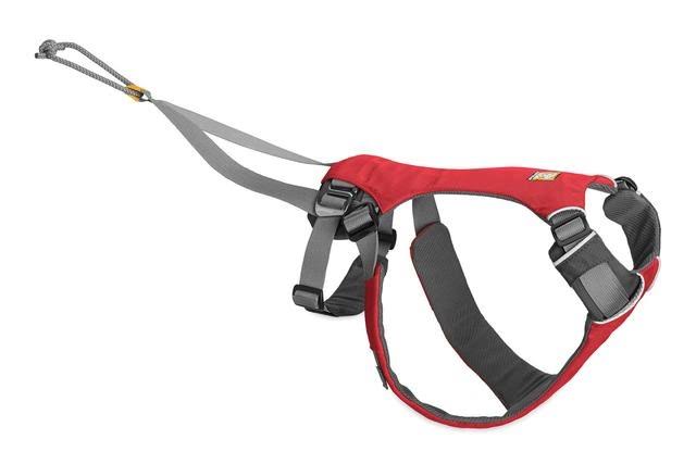 Red Currant Dog Joring System O835072