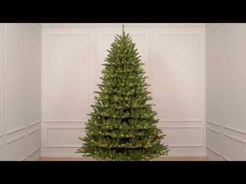 6.5& Pre-Lit Franklin Fir Tree M68413