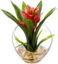 Tropical Bromeliad in Angled Vase, Red P698
