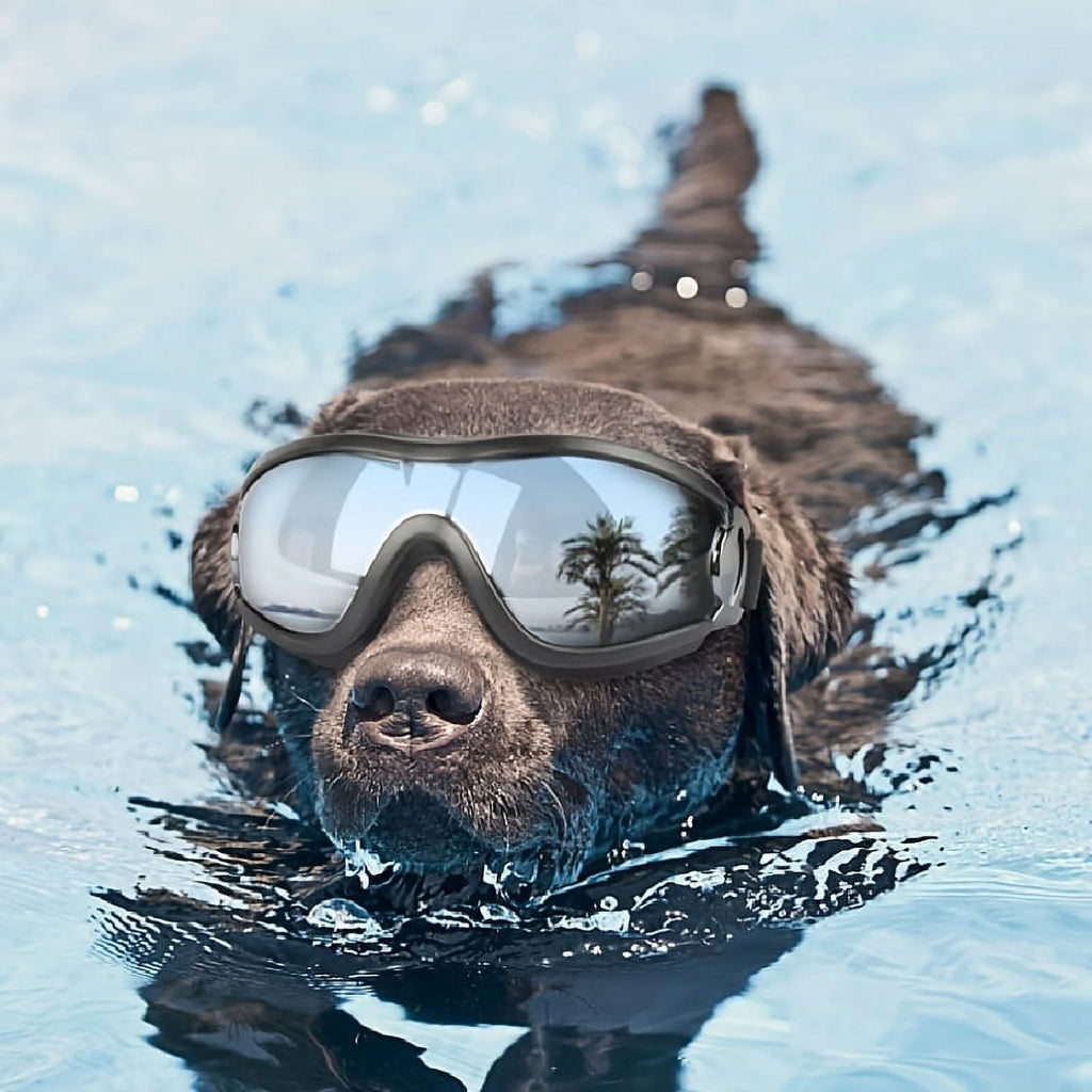 Adjustable Waterproof Pet Ski Goggles B726954