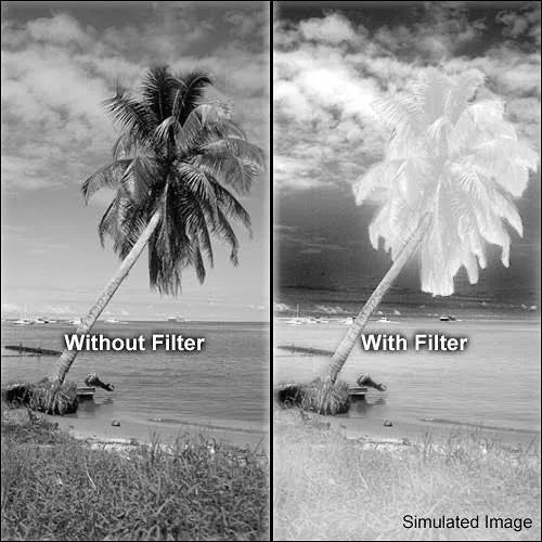 86mm Infrared Filter L3969
