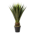 Green Potted Aloe Vera Q684
