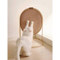 Cat Scratching Post Cat Scratcher O758126
