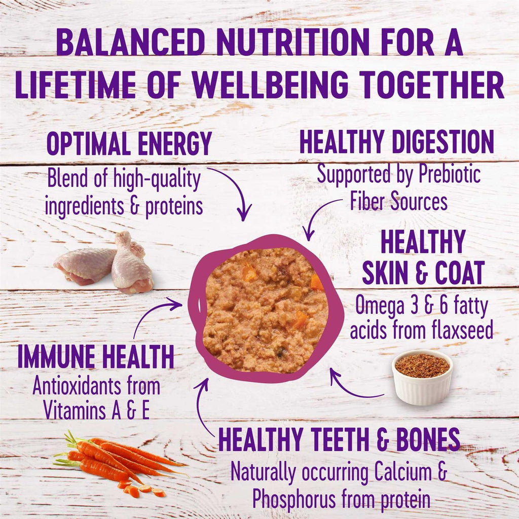 Wet Adult Cat Food Variety Pack M411488