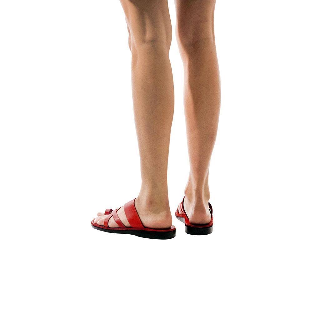 Red W5801