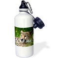 21oz Sports Water Bottle B93263