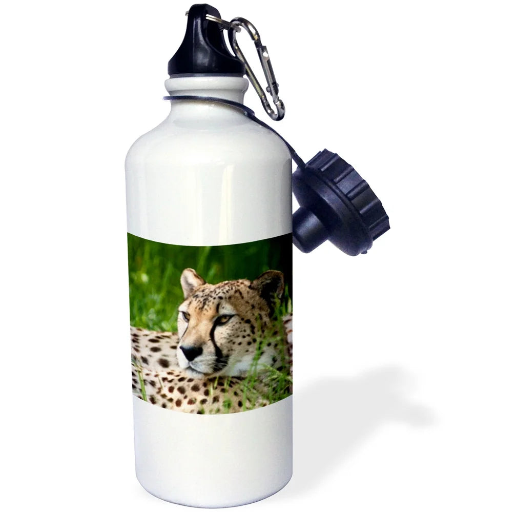 21oz Sports Water Bottle B93263