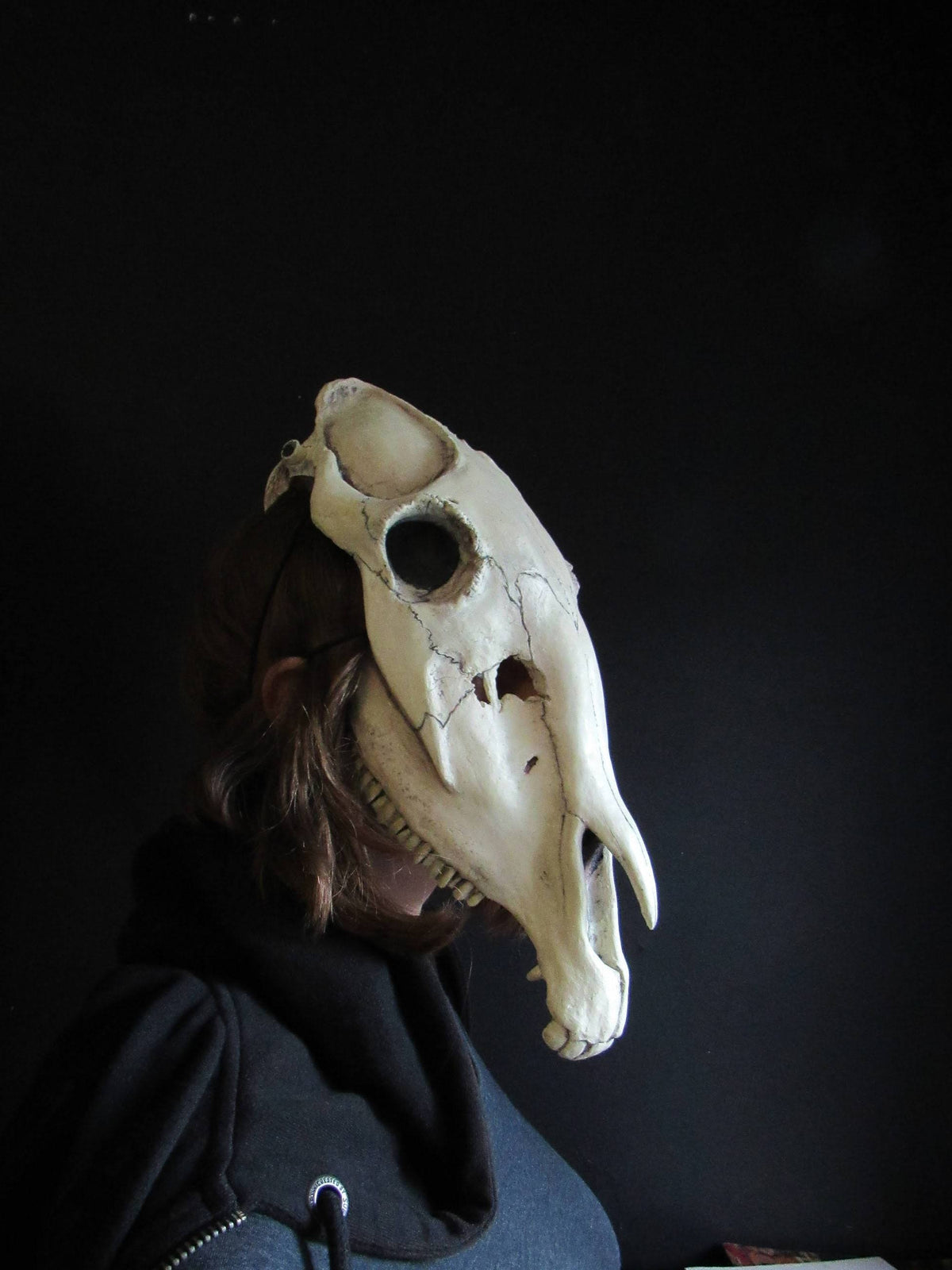 Horse Skull Mask Animal Cosplay Accessories P8981