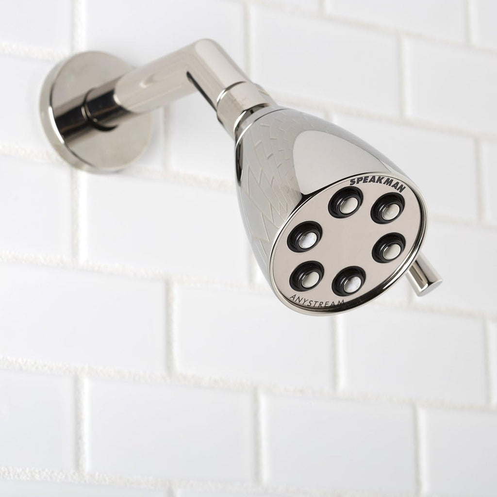 Polished Nickel Adjustable Shower Head I876044