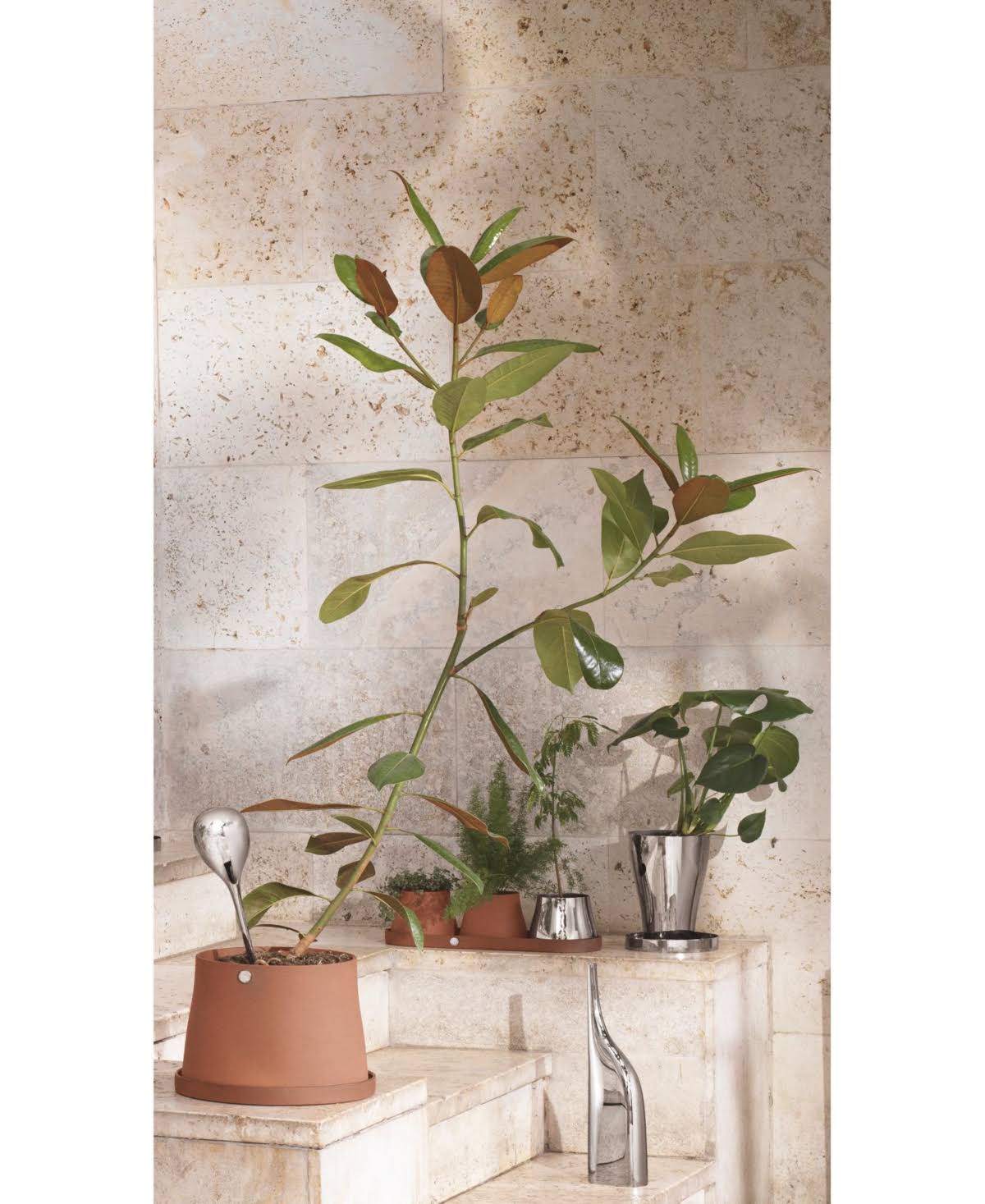 Stainless Steel Watering Can, 0.9L O986