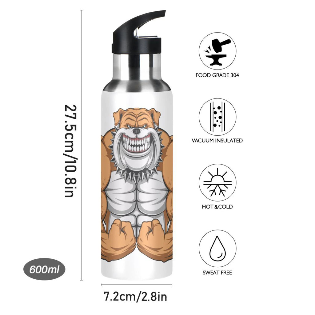 Stainless Steel Insulated Water Bottle with Straw Lid A30239