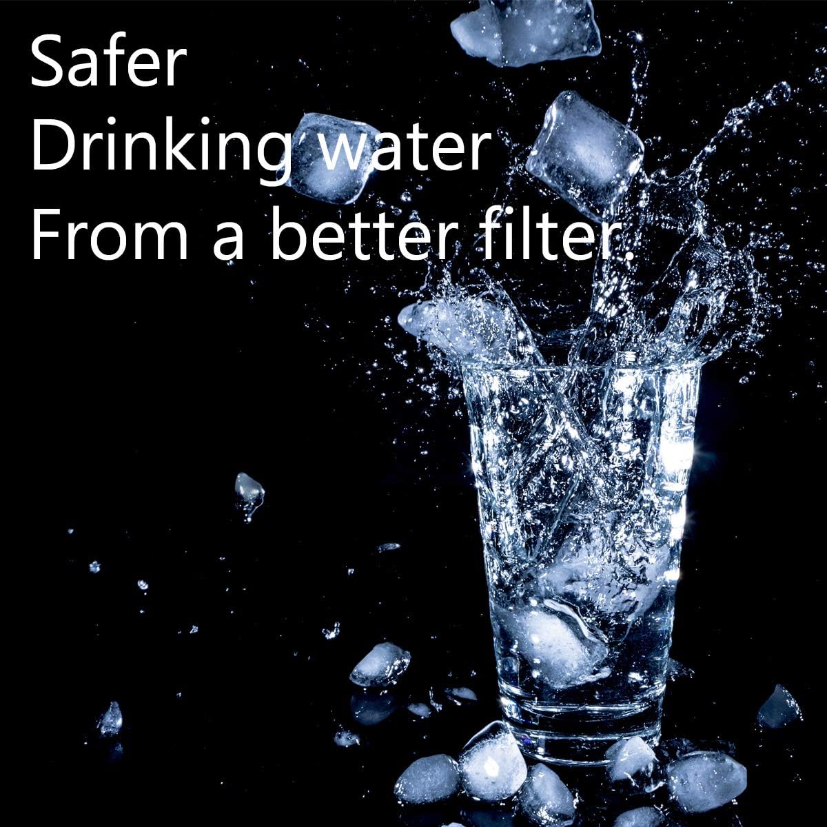 Water Filter Replacement (2 Pack) J408142