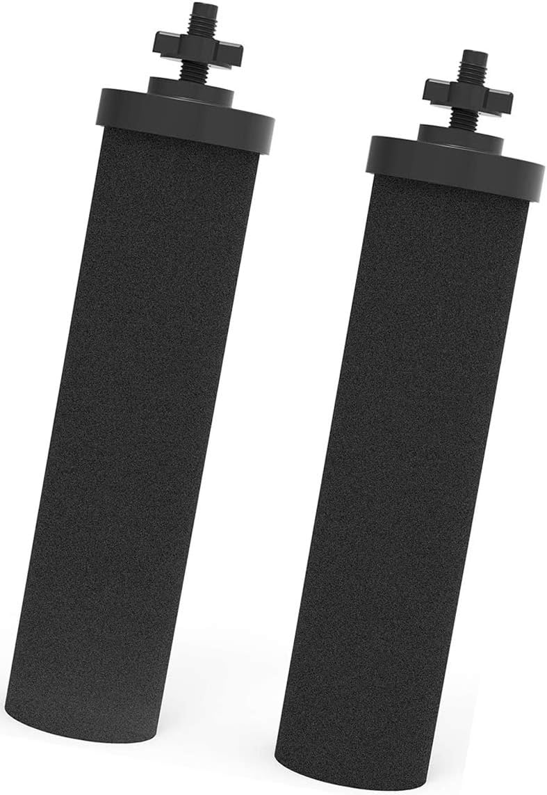 Water Filter Replacement (2 Pack) J408142