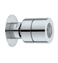 Polished Nickel Massaging Body Spray P309494