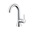 Single Hole Single-Handle Bathroom Faucet with Drain in Chrome J715845