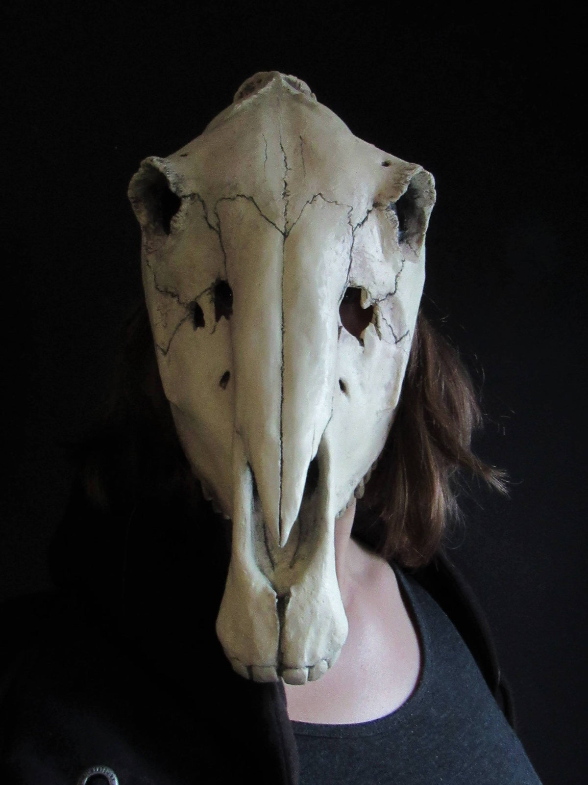 Horse Skull Mask Animal Cosplay Accessories P8981
