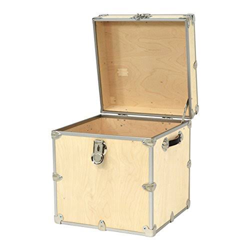Naked Birch Storage Box Wood Trunk S10756