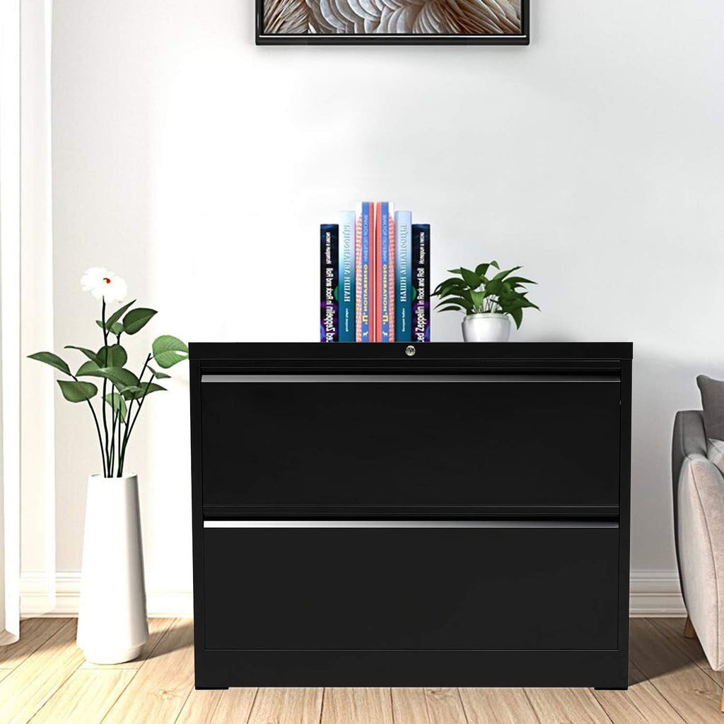 2 Drawer Lockable Metal Lateral File Cabinet with 4 Adjustable Hanging Bars H94851