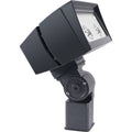 Bronze Dimmable LED Flood Light C197