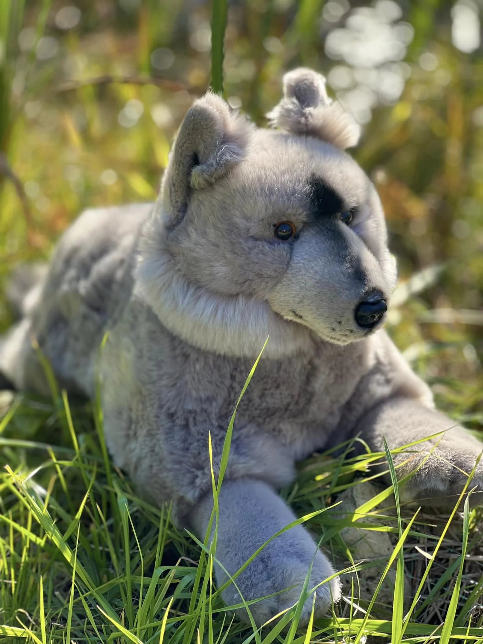 Grey Wolf Plush Stuffed Animal Y49625
